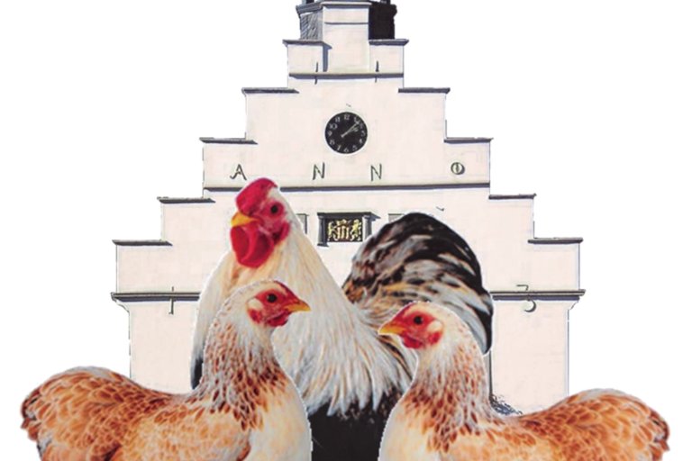Lingener Kleintiertage 2026 am 14. und 15.November