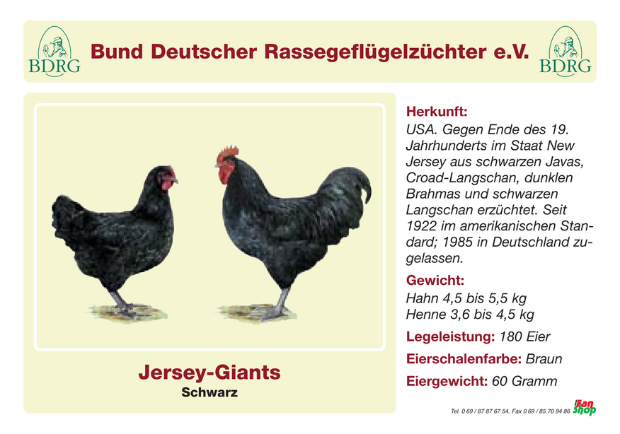 Jersey-Giants