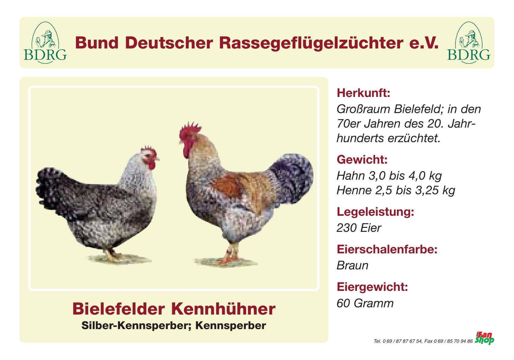 Rassetafel Bielefelder Kennhühner