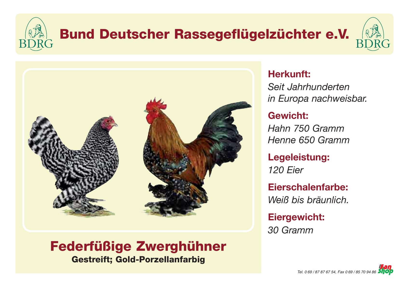 Rassetafel Federfüßige Zwerghühner