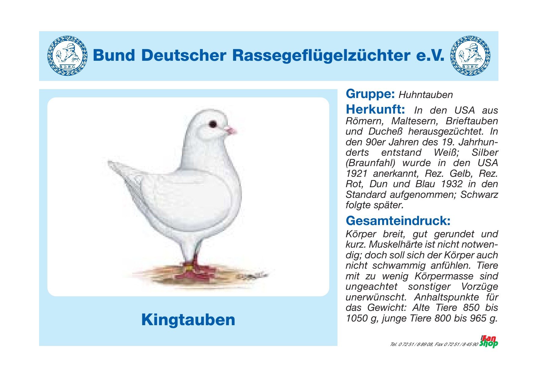 Rassetafel Kingtauben