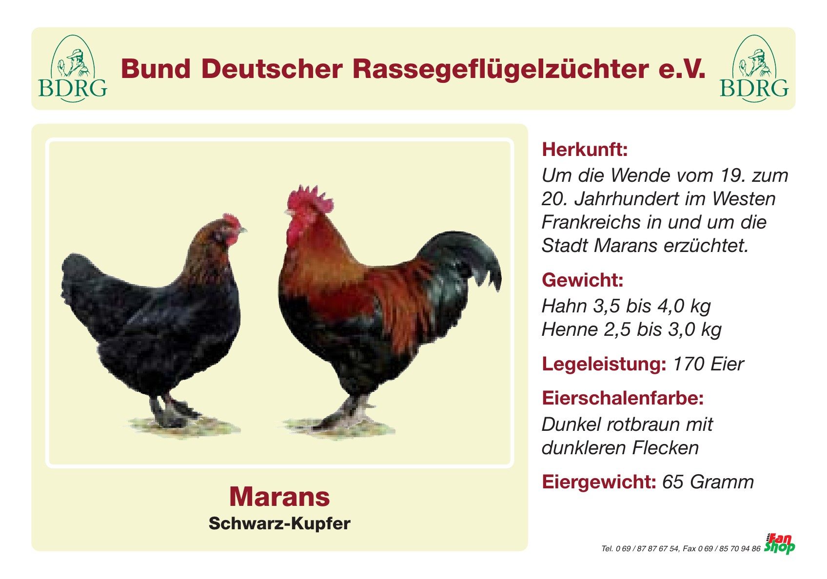 Rassetafel Marans