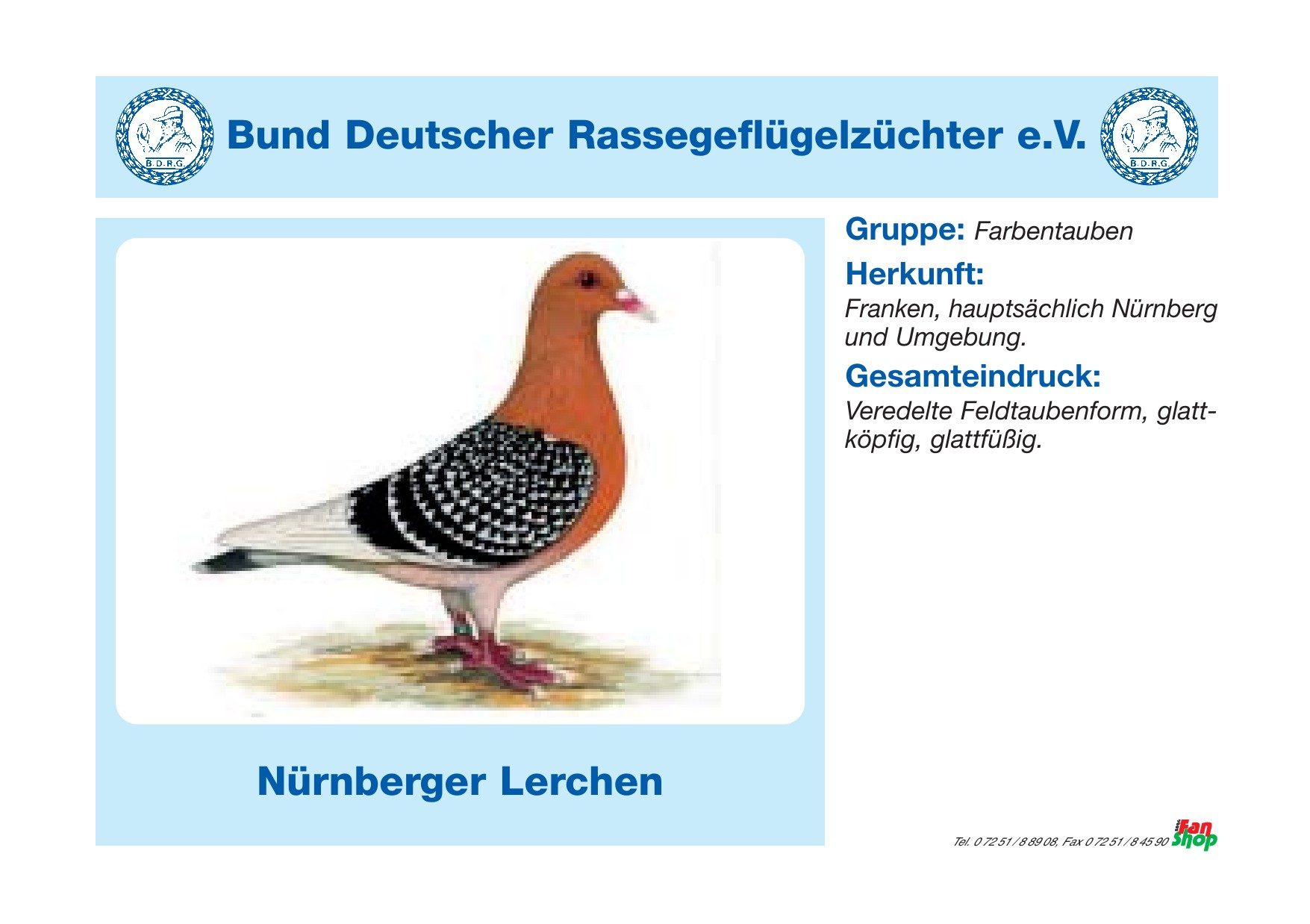 Rassetafel Nürnberger Lerchen