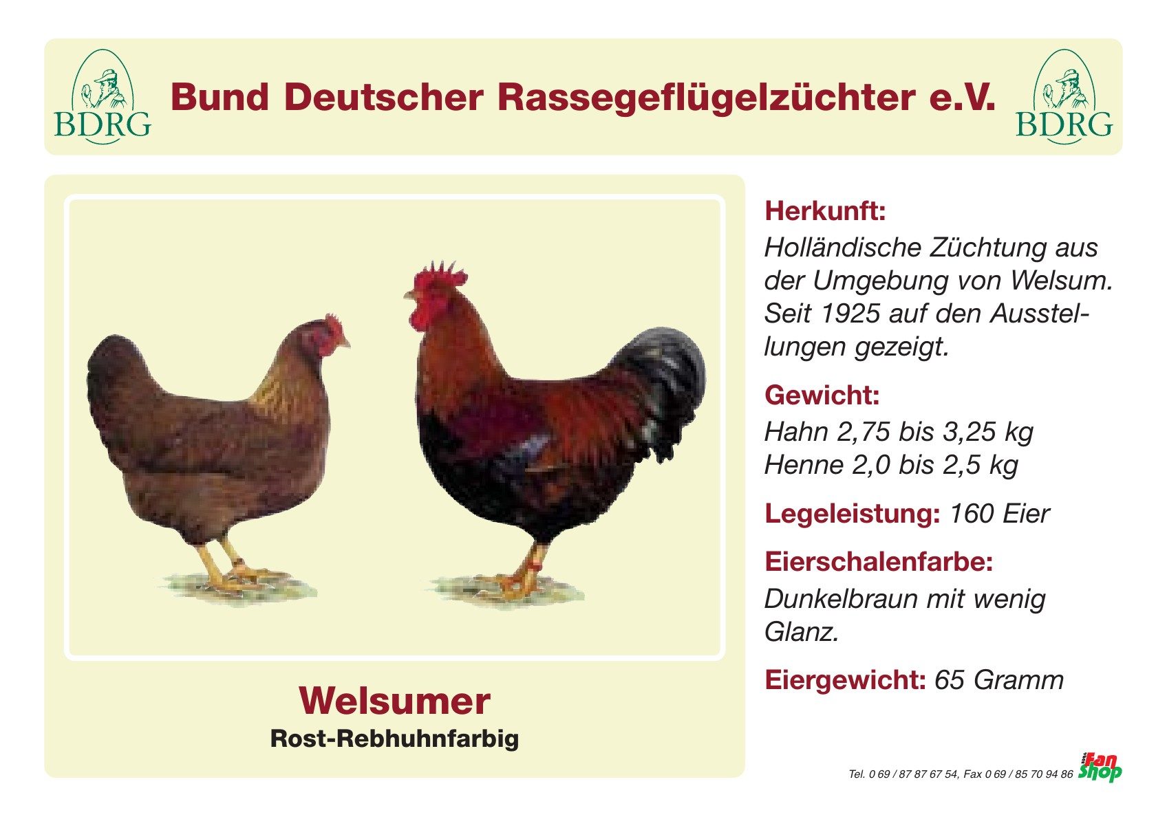 Rassetafel Welsumer