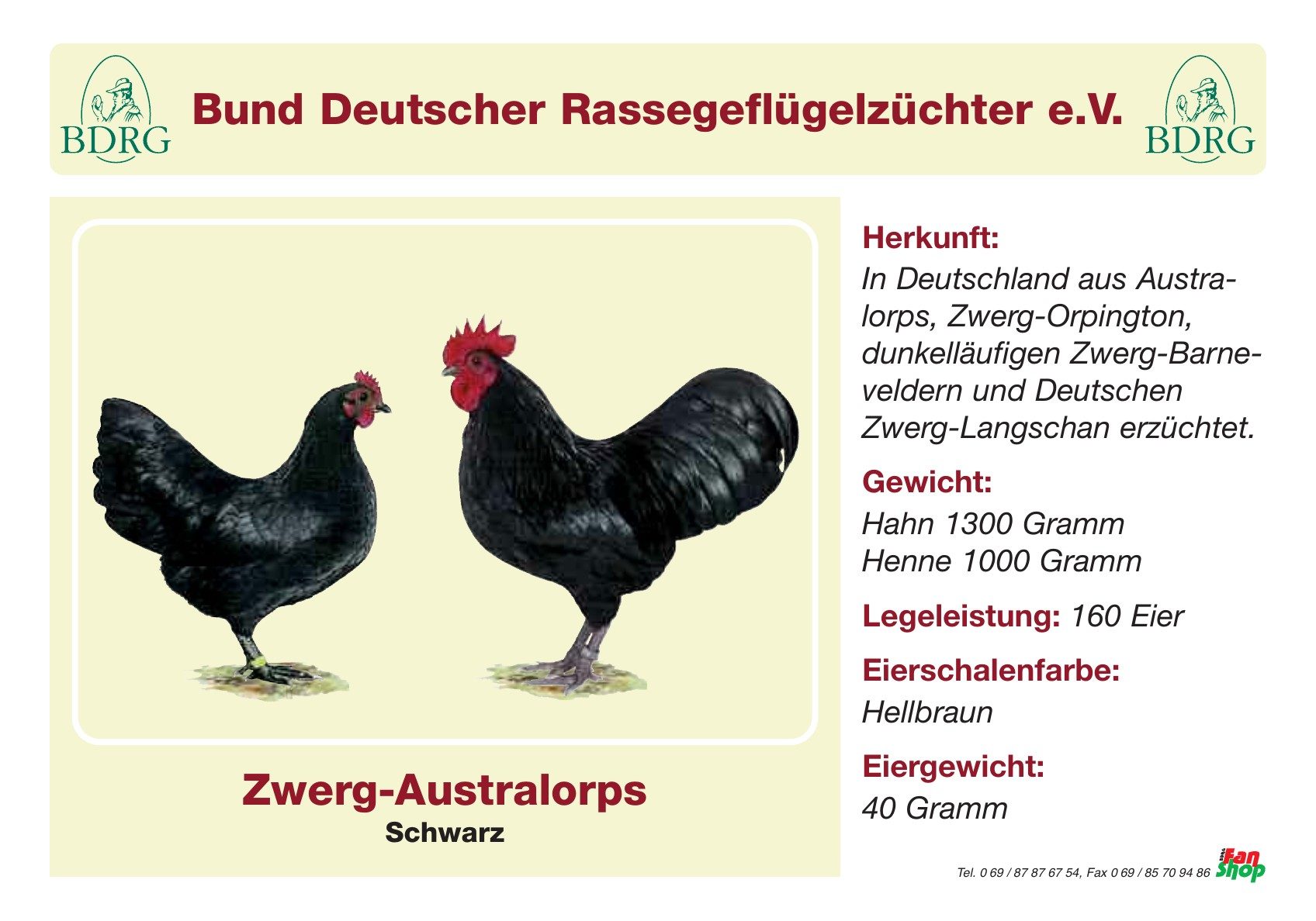 Rassetafel Zwerg-Australorps