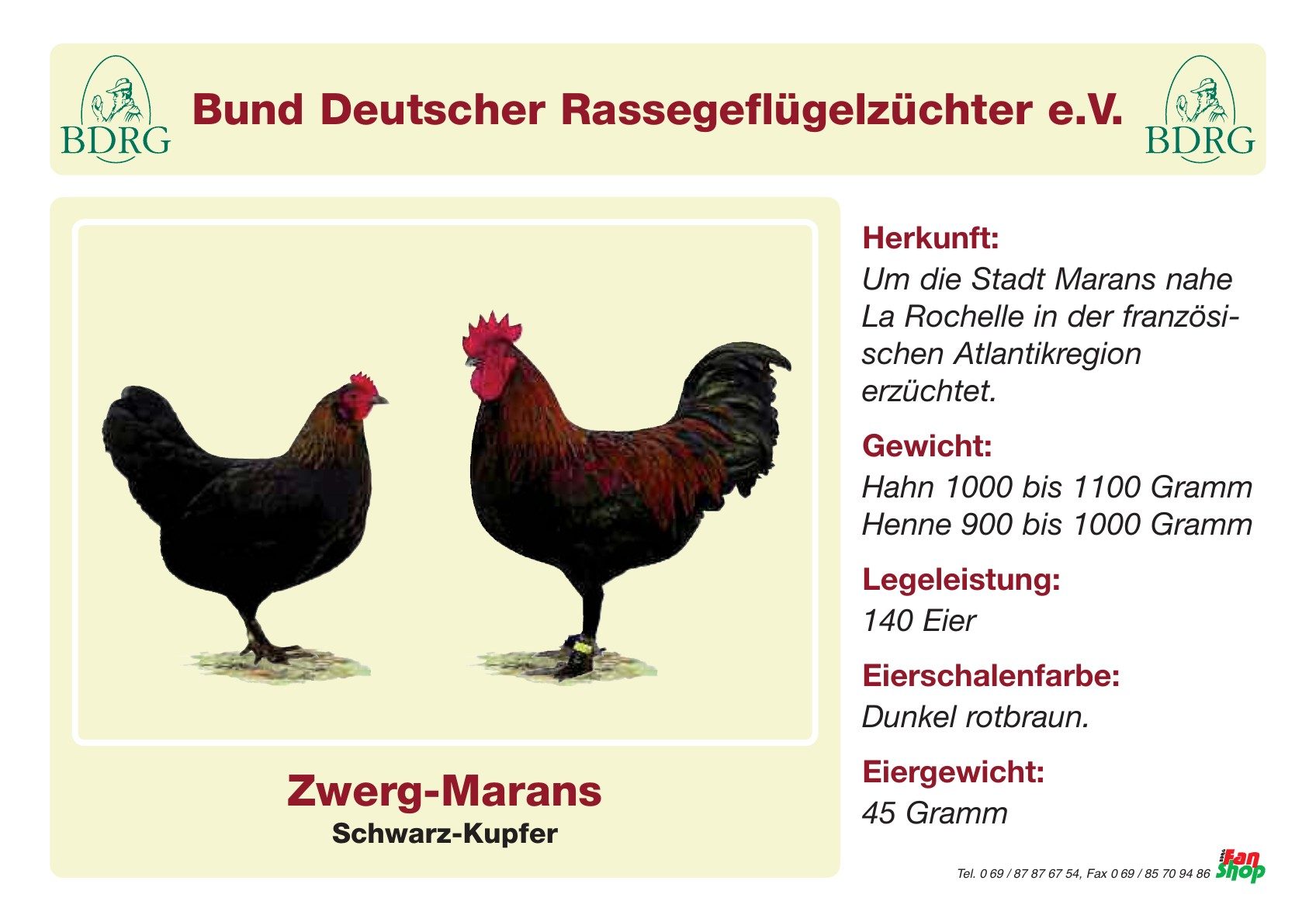 Rassetafel Zwerg-Marans