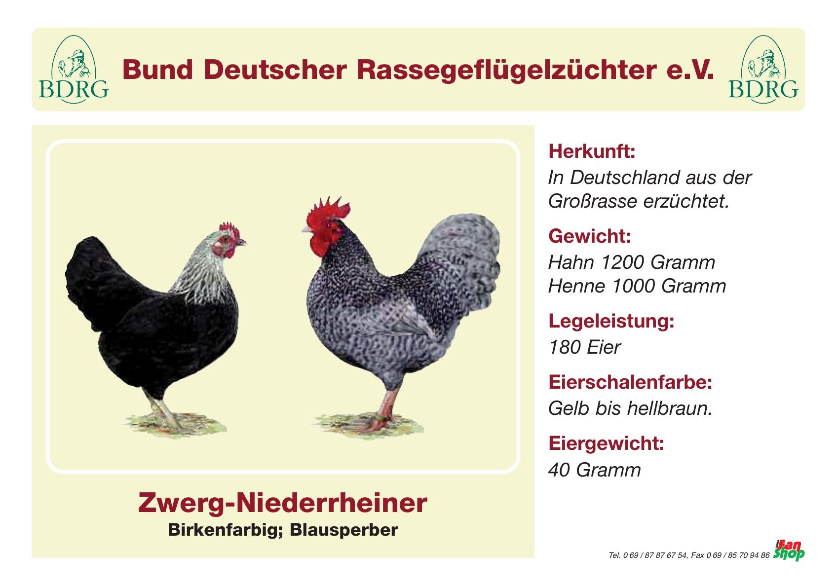 Rassetafel Zwerg-Niederrheiner