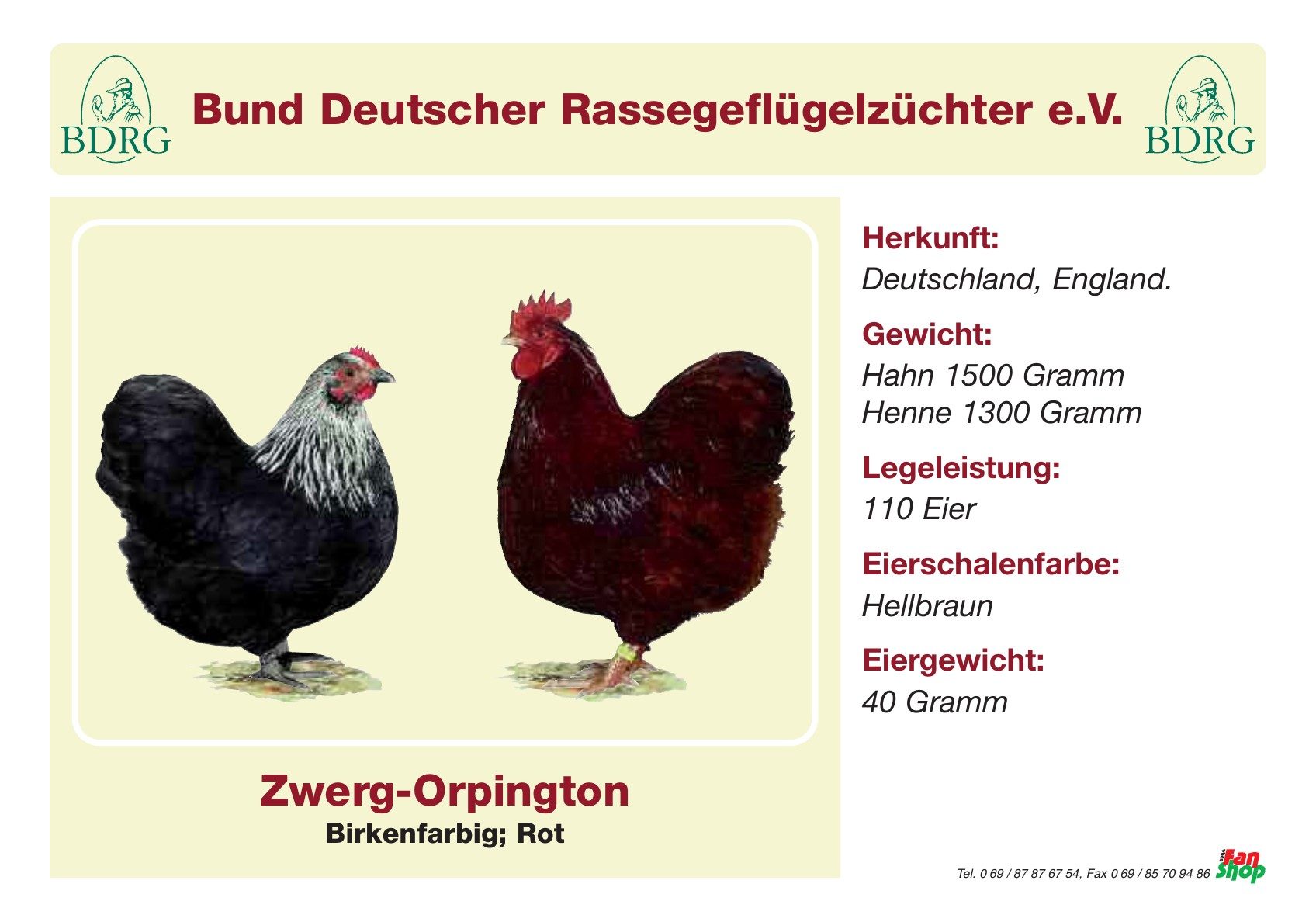 Rassetafel Zwerg-Orpington